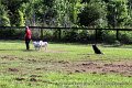 IMG_3120