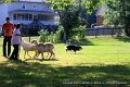 IMG_2545