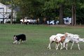 IMG_3458