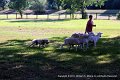 IMG_2581