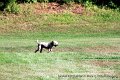 IMG_2591
