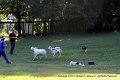 IMG_3201