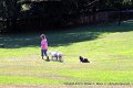IMG_2523