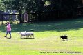 IMG_2525