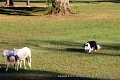 IMG_2709