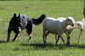 IMG_2975