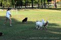 IMG_3284
