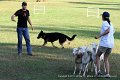 IMG_3291