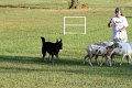 IMG_3324