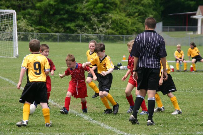 Click to see next picture