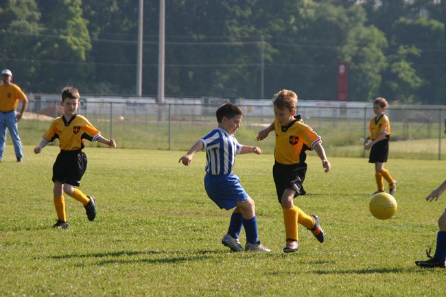 Click to see next picture