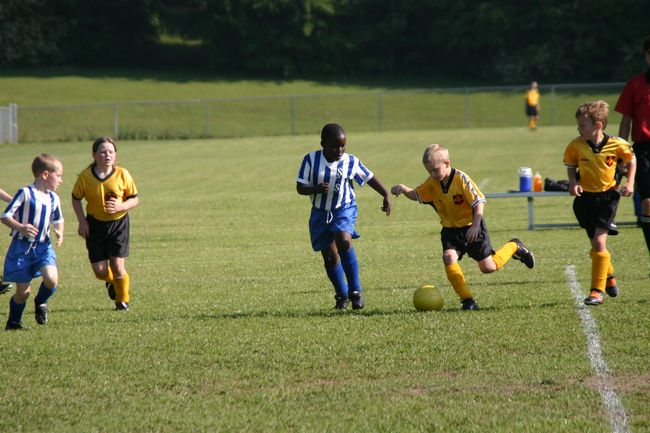 Click to see next picture