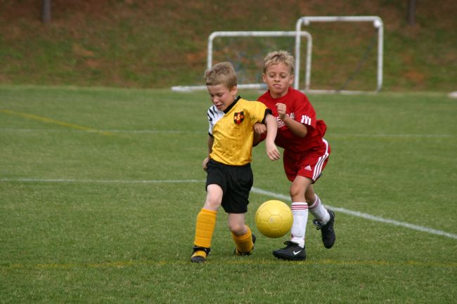 Click to see next picture