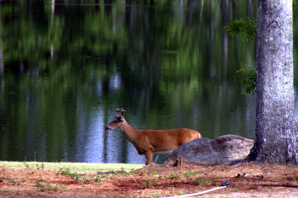 Click to see next picture