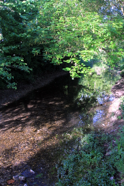 IMG_3059.JPG