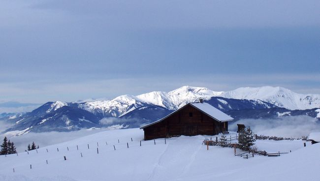 Click to see next picture