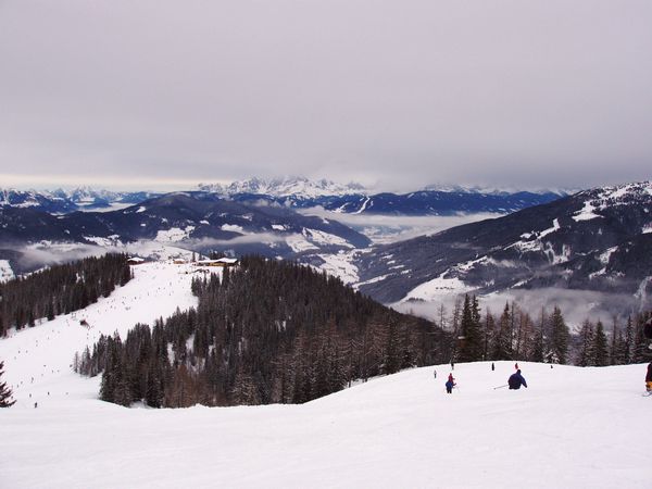 Click to see next picture