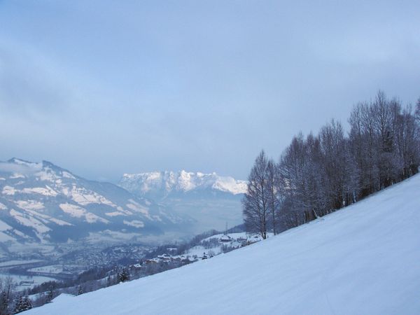 Click to see next picture