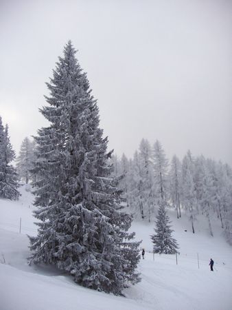 Click to see next picture