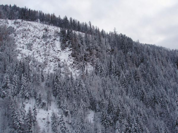 Click to see next picture