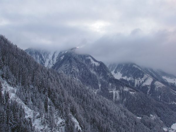 Click to see next picture