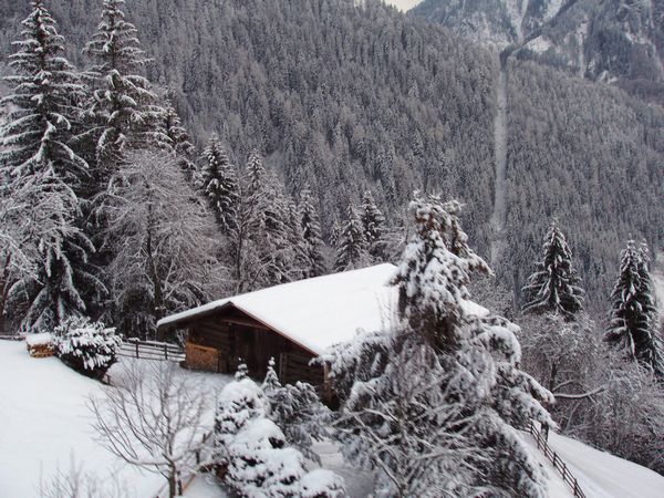 Click to see next picture