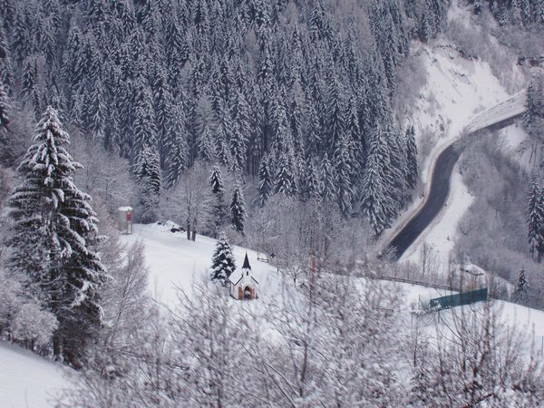 Click to see next picture