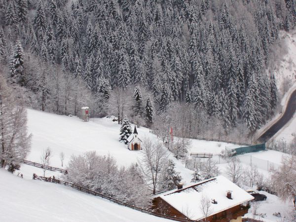 Click to see next picture