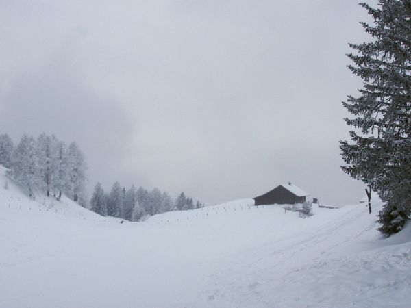 Click to see next picture