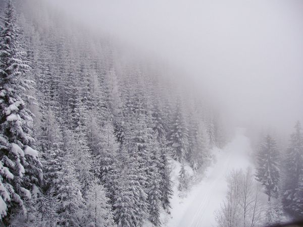 Click to see next picture