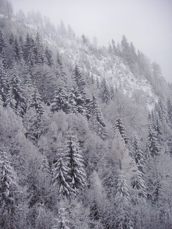 Click to see next picture