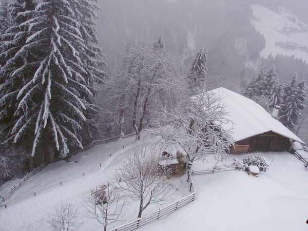 Click to see next picture