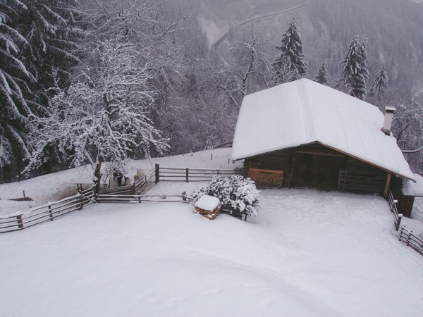 Click to see next picture