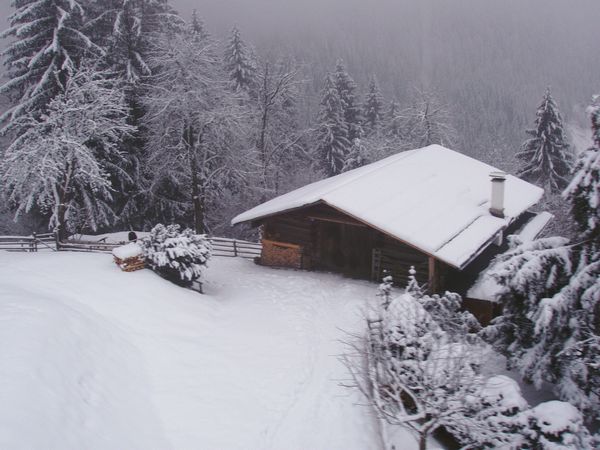 Click to see next picture