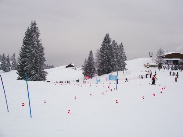 Click to see next picture