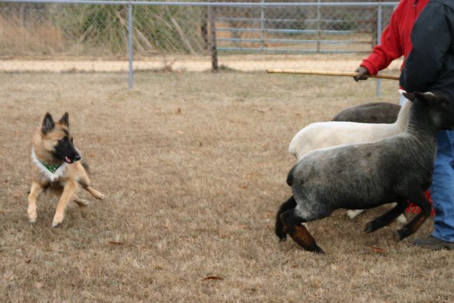 Click to see next picture