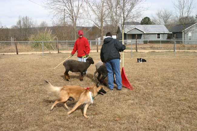 Click to see next picture