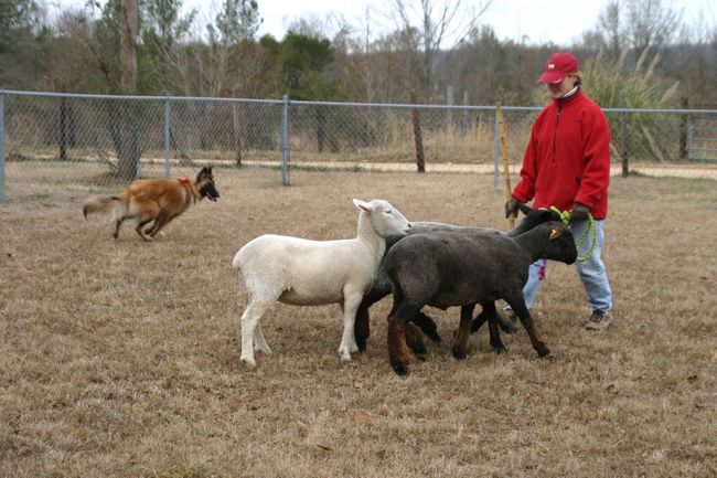 Click to see next picture