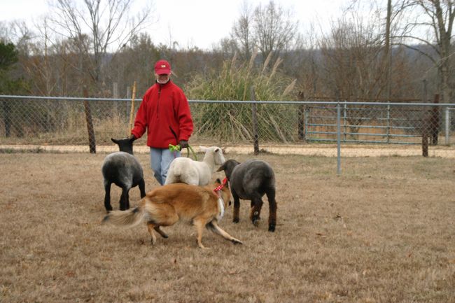 Click to see next picture