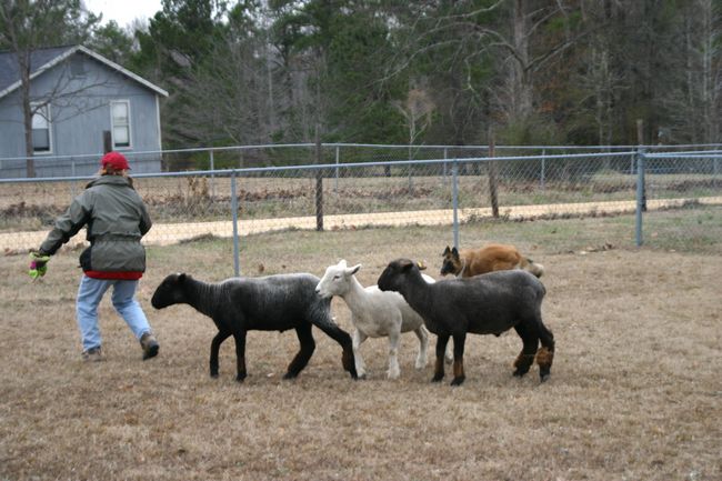 Click to see next picture