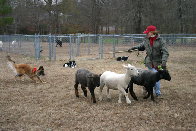 Click to see next picture