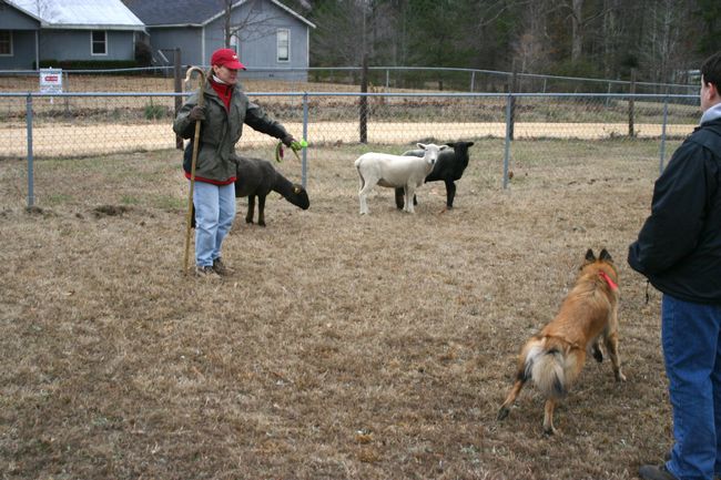 Click to see next picture