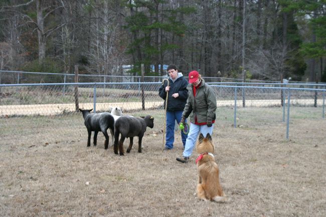 Click to see next picture