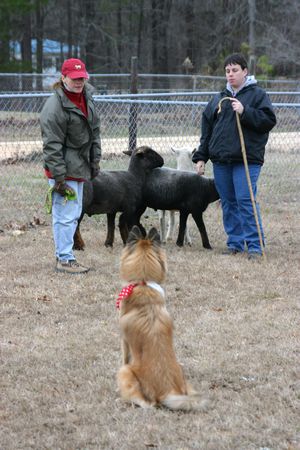 Click to see next picture