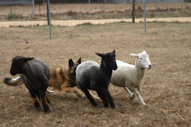 Click to see next picture