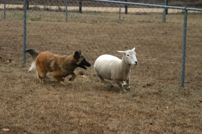 Click to see next picture