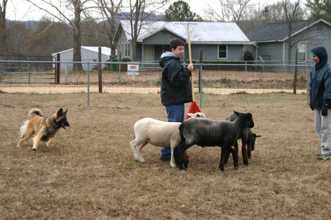 Click to see next picture