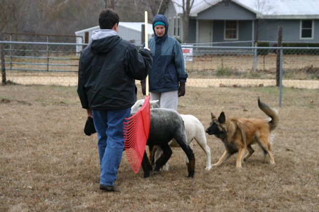 Click to see next picture