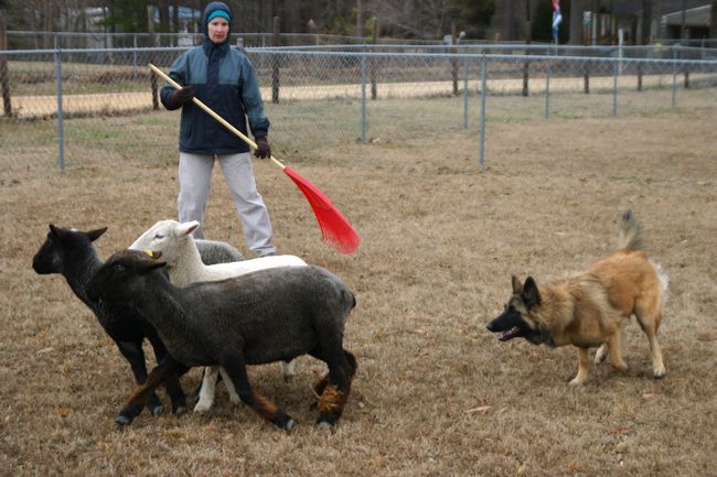 Click to see next picture