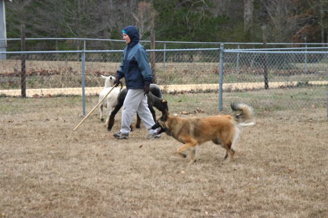 Click to see next picture